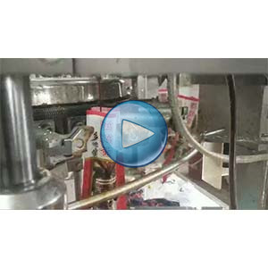 四枚帶殼鵪鶉蛋，高速給袋式真空包裝機(jī)，80包/分鐘