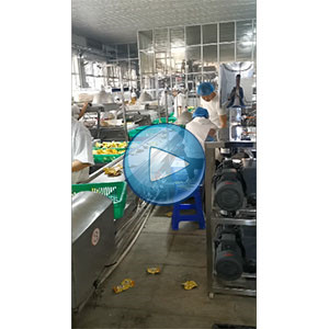 板栗給袋真空包裝一體機，自動下料、自動抽真空封口