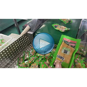 手磨豆干，雙條豆干給袋式真空包裝機(jī)，高速85包/分鐘