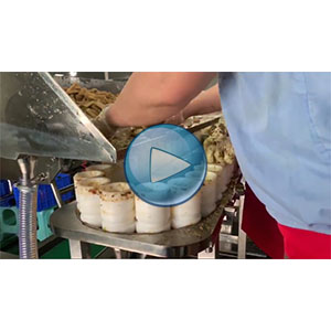 雙條豆干，豆干給袋式真空包裝機(jī)，高速 90包/分鐘