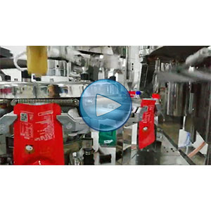 魔芋給袋式真空包裝機(jī)，高速100包/分鐘，溫州裕東