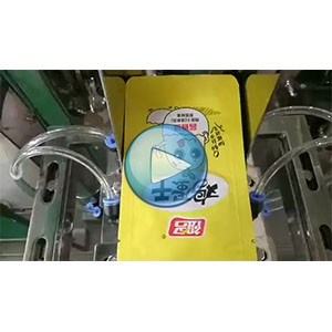 祖名雞蛋干，雞蛋干給袋式真空包裝機(jī)，人工投料