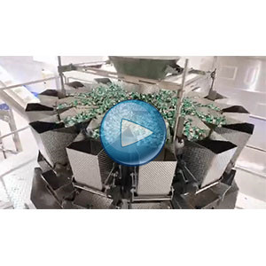 牛肉粒給袋式包裝機，25包/分鐘，溫州裕東