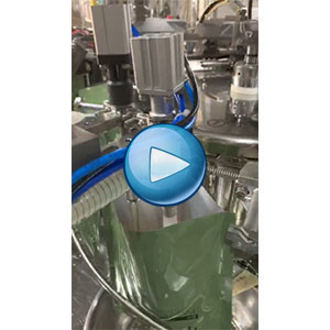 什錦炒飯真空包裝一體機，自動裝袋，自動抽真空封口