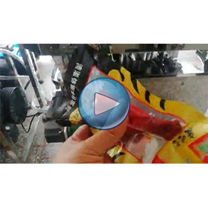 雞腿給袋式真空包裝機，70包/分鐘，溫州裕東