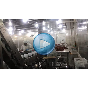 給袋真空包裝解決方案-碗式提升機(jī)-裕東畫冊(cè)