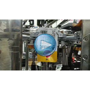 拉絲蛋白給袋式真空包裝機-75包/分鐘-優(yōu)糧-包裝生產(chǎn)線視頻