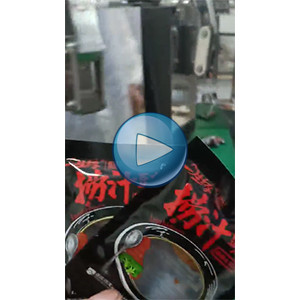 拉絲蛋白包裝機，給袋式包裝設(shè)備，自動充氮氣