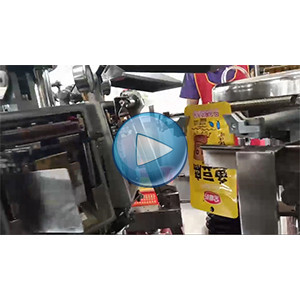 魚豆腐給袋式真空包裝機-包裝生產(chǎn)線視頻