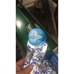 牛肉干給袋式真空包裝機視頻