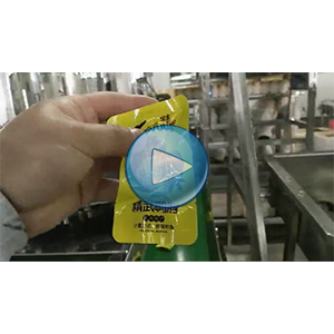 長鴨脖給袋式真空包裝機-80包/分鐘-包裝生產(chǎn)線視頻