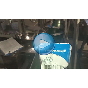 雞脖給袋式真空包裝機(jī)-80包/分鐘-正派味-包裝生產(chǎn)線視頻