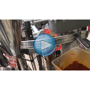 牛蹄筋給袋式真空包裝機(jī)-72包/分鐘-自動包裝機(jī)視頻