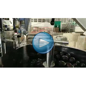 一枚鹵蛋給袋式真空包裝機(jī)-100包/分鐘-鄉(xiāng)得旺-包裝生產(chǎn)線視頻