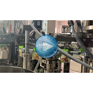 筍片給袋式真空包裝機(jī)-85包/分鐘-包裝生產(chǎn)線視頻