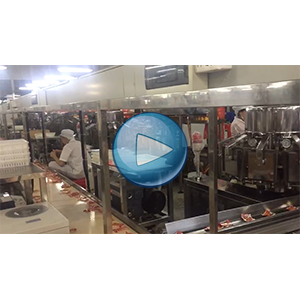 一塊豆干給袋式真空包裝機(jī)-爽口佳-包裝生產(chǎn)線視頻