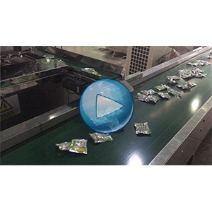 榨菜絲給袋式真空包裝機(jī)-80包/分鐘-包裝生產(chǎn)線視頻