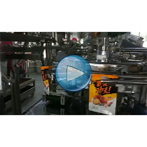 虎皮雞蛋給袋式真空包裝機-包裝生產線視頻