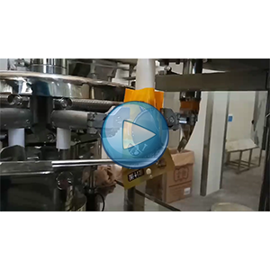 鹵蛋給袋式真空包裝機(jī)-包裝生產(chǎn)線視頻