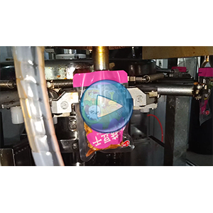 香菇豆干給袋式真空包裝機(jī)-包裝視頻