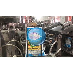 去皮榨菜給袋式真空包裝機(jī)-包裝機(jī)視頻