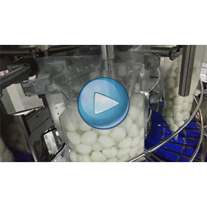 鵪鶉蛋、清水蛋注水2700克給袋式真空包裝機-視頻