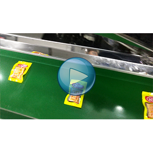 Q豆腐給袋式真空包裝機-人工投料-包裝生產線視頻