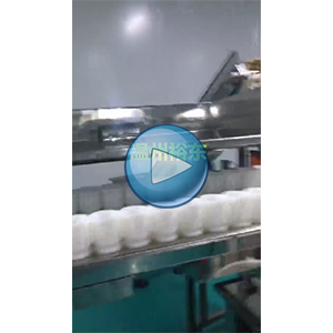 鹵蛋+環(huán)形下料器——給袋真空一機雙用