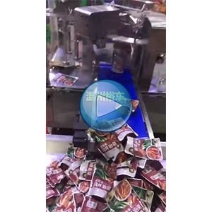 350克辣白菜給袋式包裝機(jī)  30包/分鐘