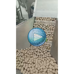 牛肉丸全自動(dòng)給袋真空包裝一體機(jī)