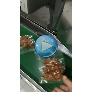 鴨脖，給袋式真空包裝機，溫州裕東