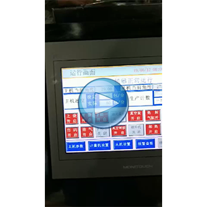 豆干， 80包每分鐘，高速給袋式真空包裝機