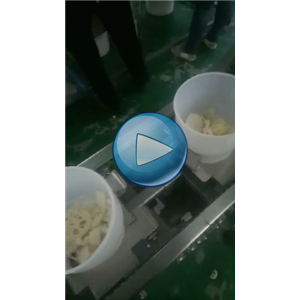 蔬菜包，全自動包裝設備，碗式提升機