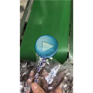 手撕肉自動包裝，自動抽真空，天天漁業(yè)生產線視頻