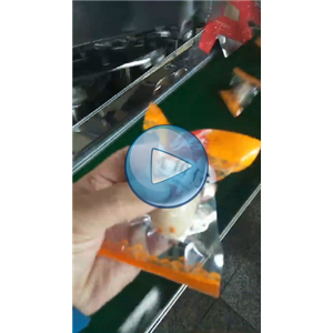 魷魚(yú)仔高速包裝機(jī)，80包每分鐘，真空生產(chǎn)線視頻