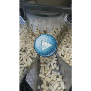 藕帶給袋式真空包裝機，自動包裝設(shè)備，生產(chǎn)線視頻