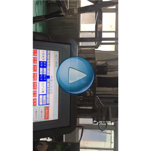 榨菜條自動(dòng)包裝機(jī)100包/分鐘包裝視頻