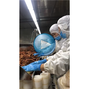 虎皮鳳爪給袋式真空包裝機(jī)視頻