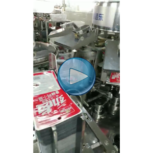 鴨小腿給袋式真空包裝機(jī)，人工投料，包裝生產(chǎn)線視頻