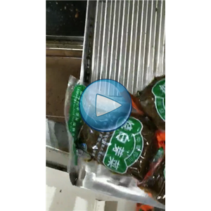 芽菜給袋式真空包裝機(jī)，大規(guī)格包裝機(jī)，全自動抽真空封口