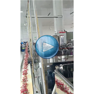 蓬江豆干給袋式真空包裝機(jī)，100包/分鐘