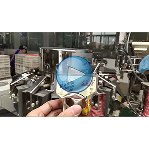 鹵蛋，高速轉(zhuǎn)盤給袋式包裝機，一分鐘80包