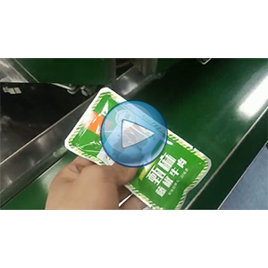 牛肉真空包裝|充氮氣包裝機|張飛牛肉|50包/分鐘