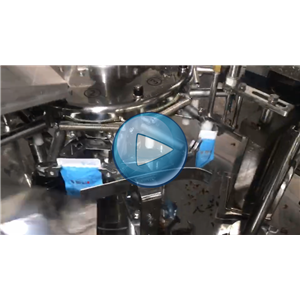 小黃魚給袋式包裝機(jī) 真空系列環(huán)形下料器 60包/分鐘