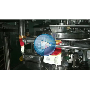 雞蛋 給袋式包裝機 每分鐘60包 130B，溫州裕東