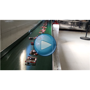 燈影牛肉絲包裝機(jī)，給袋真空包裝一體機(jī)