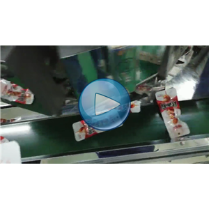 面筋自動真空包裝機(jī)，人工投料，溫州裕東