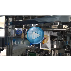 小雞腿給袋式真空包裝機(jī)，人工投料