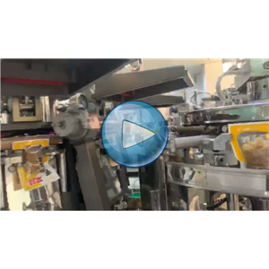 豆腐干，給袋式真空包裝機(jī)，80包每分鐘，溫州裕東