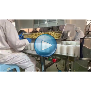 雞肉腸給袋真空包裝一體機 78包/分鐘，山東范府食品